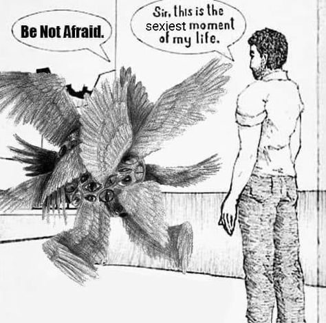 Angel Meme, Be Not Afraid, 4 Panel Life, Baba Jaga, Angel And Devil, Anime Meme, Arte Horror, Not Afraid, What’s Going On