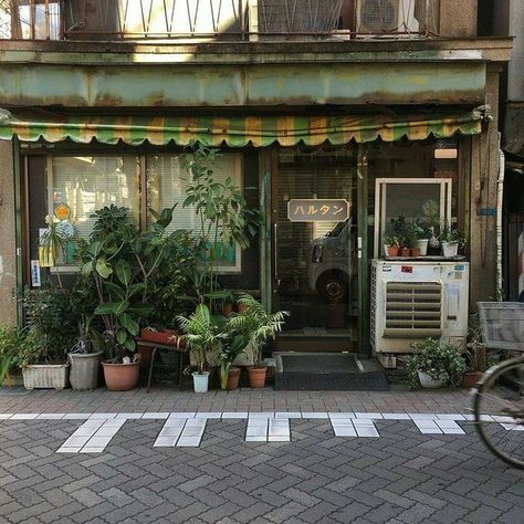 متحف فني, Aesthetic Place, Fotografi Vintage, Japan Aesthetic, Store Front, Pretty Places, Green Aesthetic, Pretty Pictures, Aesthetic Pictures