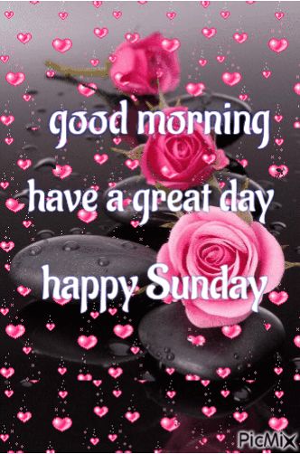 10 Animated Good Morning Sunday Quotes, Sayings And Gifs Happy Sunday Gif, Quotes For Sunday, Morning Sunday Quotes, Animated Good Morning, Good Morning Sunday Quotes, Good Night Sunday, Happy Sunday Messages, Sunday Morning Images, Sunday Gif