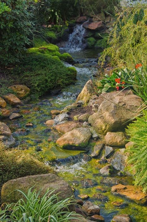 Garden Stream, Taman Air, Garden Waterfall, Natural Pond, Pond Landscaping, Waterfalls Backyard, Nature Wallpapers, Pond Design, Have Inspiration