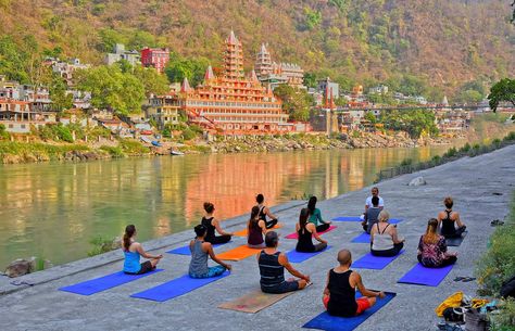 8 Reasons why you need to undergo yoga teacher training in India 1 Meditation Teacher Training, Become A Yoga Instructor, Rishikesh Yoga, Training Certificate, 200 Hour Yoga Teacher Training, Yoga School, Learn Yoga, Yoga Alliance, Teaching Yoga