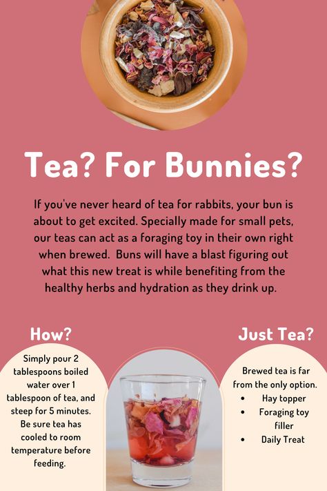 Homemade Treats For Rabbits, Homemade Bunny Treats Recipes, Diy Bunny Treats Recipes, Bunny Snacks Rabbit Food, Bunny Treat Recipes, Rabbit Treats Recipe, Bunny Necessities, Rabbit Treats Homemade, Bunny Treats Diy