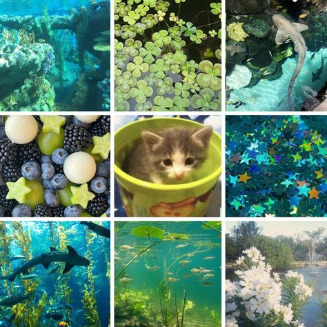 i WILL be using this i love it Blue And Green Mood Board, Moodboard Character Design, Ispy Photography, Mood Bored Aesthetic, Moodboard Animals, Minecraft Moodboard, Indie Moodboard, Sydneycore Aesthetic, Blue Moodboard Aesthetic