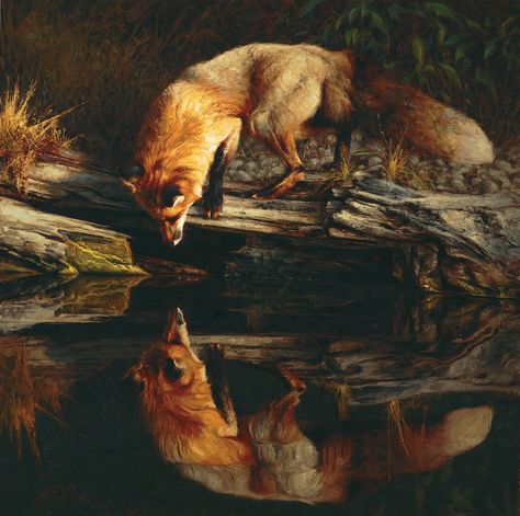 "The Old Log", Oil on Linen,  30” x 30” by Greg Beecham Greg Beecham, Shadow Riders, Fox Artwork, Wildlife Artwork, Wildlife Paintings, Fox Art, Animals Artwork, Cute Fox, Arte Fantasy