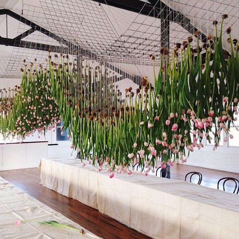 Fishing Wire Hanging Flowers, Flower Museum, Hanging Installation, Tulip Wedding, Flower Hanging, Flower Installation, Floral Chandelier, Hanging Flowers, Arte Floral