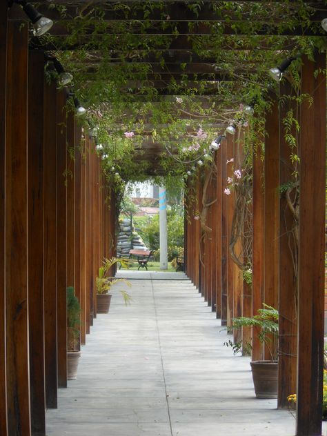 Covered walkway in La Molina, Peru Outdoor Walkway, Covered Walkway, Pergola Attached To House, Garden Walkway, Covered Garden, Covered Pergola, Pergola With Roof, Patio Roof, Pergola Plans