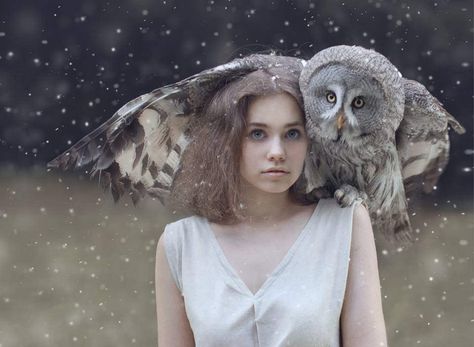 Victoria Erickson, Beautiful Owl, Fantasy Photography, Lukisan Cat Air, 인물 사진, 귀여운 동물, Spirit Animal, Belle Photo, Beautiful Creatures