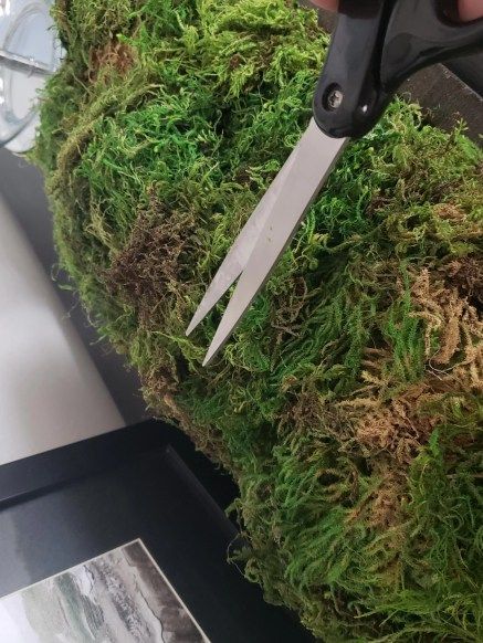 How To Make a Moss Bowl - A High End Look - East Third Street Preserved Moss Bowl, Long Moss Bowl, Moss Filled Bowl, What To Put In Bowls For Decoration, Restoration Hardware Moss Bowl, Moss Dough Bowl, Moss Bowl Diy, Moss Centerpieces Dining Room, How To Make A Moss Bowl