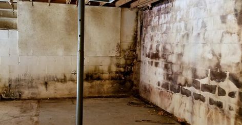 How To Get Rid Of Black Mold In Basement, How To Get Rid Of Mold In Basement, Mold In Basement, Kill Black Mold, Clean Black Mold, Concrete Basement Walls, How To Remove Mold, Remove Black Mold, Leaking Basement