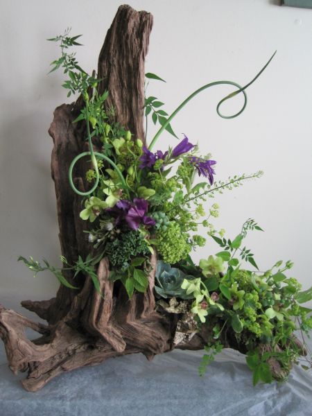 arrangement on driftwood, Françoise Weeks Takken Decor, Driftwood Centerpiece, Succulent Centerpiece, Flowers And Greenery, Succulent Centerpieces, Church Flowers, Succulent Arrangements, Deco Floral, Driftwood Art