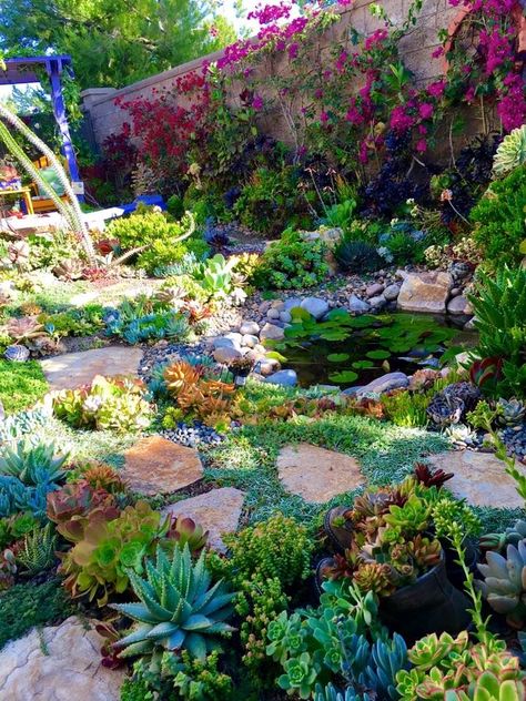 Laura Eubanks, Succulent Rock Garden, Succulent Landscape Design, Drought Tolerant Garden, Succulent Garden Design, Succulent Landscaping, Japanese Garden Design, Meteor Garden 2018, Succulent Gardening