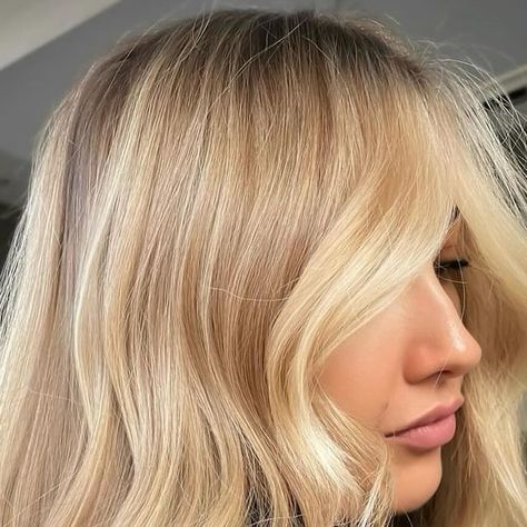 MANE COLLECTIVE on Instagram: "Sunkissed blondes ☀️ Check out more gorgeous golden blondes over at @jess_vivahair.education’s IG! ⠀ ⠀ Tag and follow • @the.mane.collective • to be featured! ⠀ ⠀ #themanecollective #manetribe #manecollective #hairstylisttribe #hairstylistcommunity" Golden Blonde, Grey Hair, Hair Stylist, Blonde, Education, Grey, Hair, On Instagram, Beauty