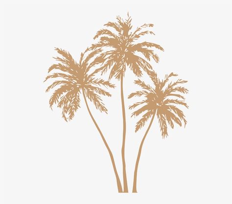 Palm Gold, Palm Tree Clip Art, Gold Palm Leaves, Palm Tree Png, Gold Palm Tree, Free Icons Png, Leaves Png, Colour Pallets, Garden Inspo