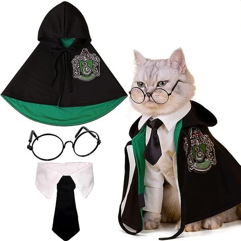 Harry Potter Cat Costume #harrypottercat #catcostume #halloweencat Costume Dinosaure, Pet Magic, Pet Event, Pet Costumes Cat, Chat Halloween, Cat Halloween Costume, Pet Halloween Costumes, Cat Halloween, Fantasias Halloween