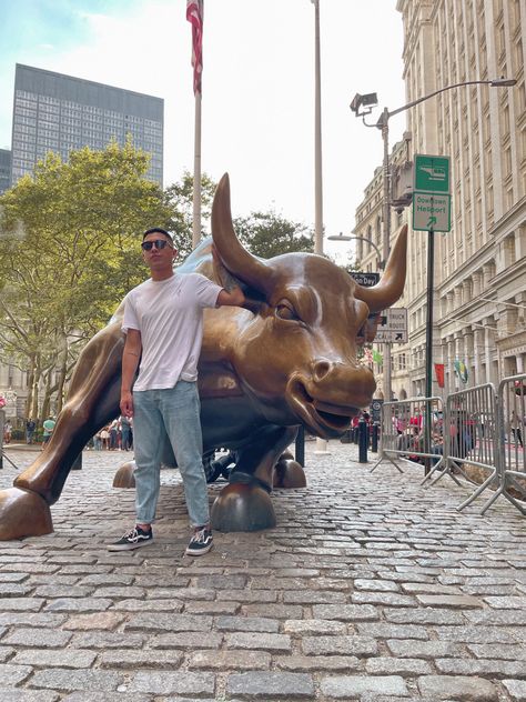 Wallstreet Bull, Charging Bull, Wall Street, Camel, New York, Wall, Animals, Quick Saves