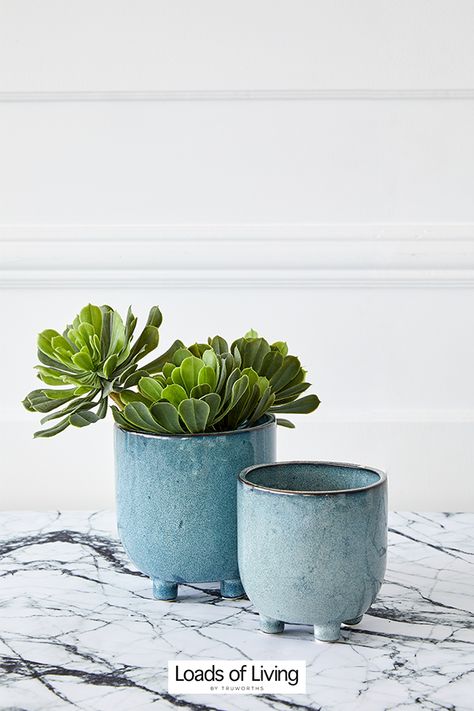 Brand Theme, Blue Bg, Blue Planter, Office Playroom, Blue Plants, Ceramic Plant Pots, Plant Mom, Ceramic Pot, Blue Ceramics