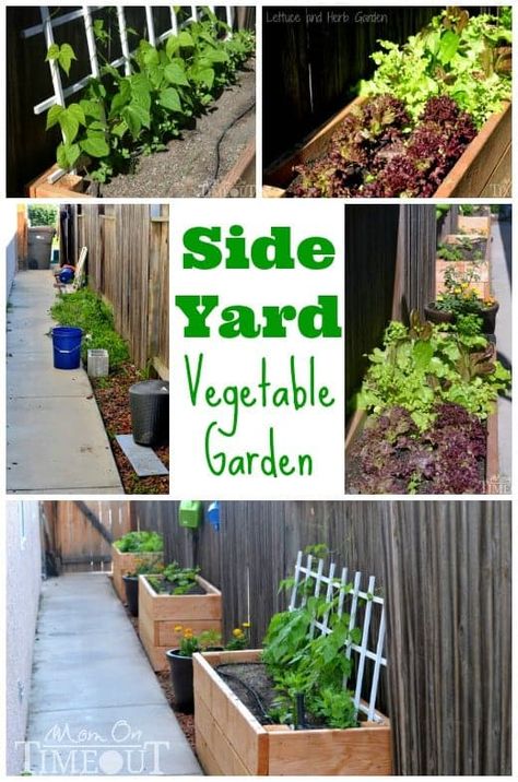 Transform your side yard into a Side Yard Vegetable Garden and turn wasted space into a lush, green produce producing area! Side Yard Vegetable Garden, Diy Planter Boxes, Yard Vegetable Garden, Raised Vegetable Gardens, Vegetable Plants, Vertical Vegetable Garden, Diy Planter, Side Yards, Indoor Vegetable Gardening