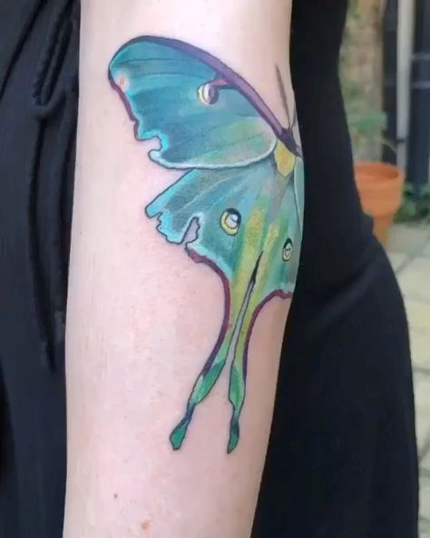 Luna Moth Tattoo Neotraditional, Moth Tattoo Color, Sacred Art Tattoo, Luna Moth Tattoo, Luna Moths, Tattoo Color, Moth Tattoo, Human Canvas, Badass Tattoos