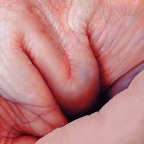 Flesh paintings by Edie Nadelhaft get under your skin | Creative Boom Edie Nadelhaft, Juxtapoz Magazine, A Level Art, Skin Art, Nature Paintings, Museum Of Fine Arts, Natural Body, Human Figure, In The Flesh