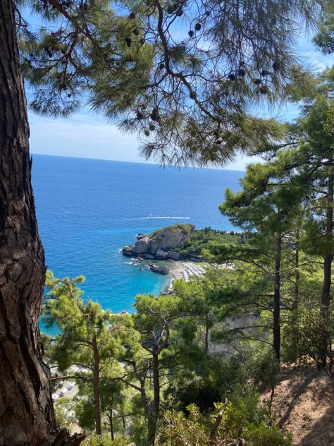 Mediterranean Forest, America Aesthetic, Tiktok Wallpaper, Mountain And Sea, Wallpaper Forest, Phone Widgets, Fitness Memes, Aesthetic Sea, Summer Phone