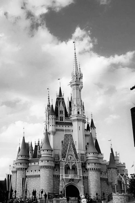 Disney Castle Black And White, Castle Black And White, Castle Black, Black Castle, Dream Places, Disney Castle, Black And White Aesthetic, White Aesthetic, Barcelona Cathedral