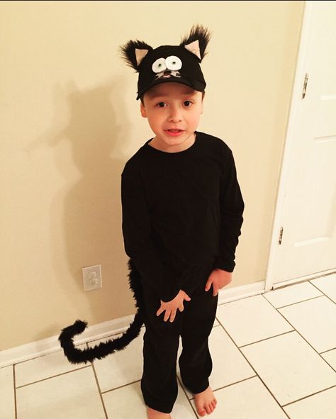 Man Cat Costume, Bad Kitty Costume, Splat The Cat Pumpkin Character, Mens Cat Costume, Boy Cat Costume, Fancy Dress Cat For Kids, Splat The Cat, Bad Kitty Book, Kitty Costume