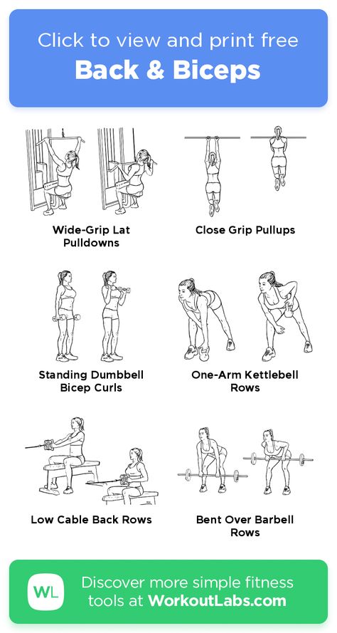 Legs Back Biceps Workout, Bicep And Back Workout, Biceps And Back Workout, Back And Bicep Workout Gym, Back Bicep Workout, Back Biceps Workout, Weighted Exercises, Bicep Workout Gym, Back And Biceps Workout