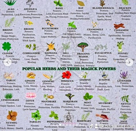 Herbs And Magical Properties, Herb Meanings, Plant Meanings, Herb Benefits, Tea Mixes, Medicinal Herbs Remedies, Hearth Witch, Wicca Recipes, Witchy Garden