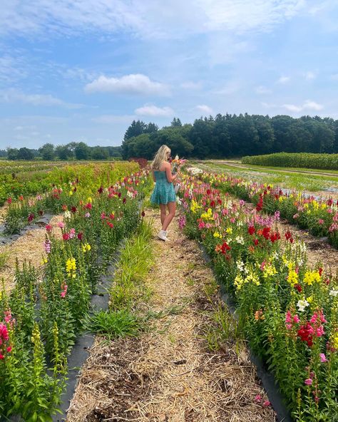 Wildflower Picking, Field Wildflowers, Flower Picking, Date Activities, Flower Photoshoot, Paris Trip, Farm Ideas, Happy Things, Floral Sundress