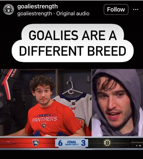 Alex Lyon, Alex Lyon Hockey, Dating Hockey Players, Swamp Rabbit, Hockey Goalie Memes, Lakes Hockey Series, Hot Hockey Players, Hockey Memes, Hockey Stuff