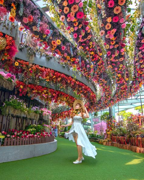 Travel • Content Creator on Instagram: “Checking in to Singapore's Flora Fantasy at Marina Garden by the Bay. ⁣ ⁣ My insta boyfriend @wilsonisalmostsexy said my skin is glowing…” Singapore National Day, Art Science Museum, Singapore Vacation, Catwalk Design, Singapore Garden, Flower Dome, Singapore Tour, Singapore Photos, Wedding Entrance Decor