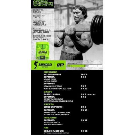 #MP Workout of the Day! Arnold Blueprint to Mass - Shoulders/Arms/Abs Powered by #IronCre3!  Tag someone that wants arms like Arnold! Arnold Blueprint, Arnold Training, Musclepharm Workouts, Arnold Schwarzenegger Workout, Arnold Workout, Workout Man, Bodybuilding Program, Muscle Pharm, Trening Fitness