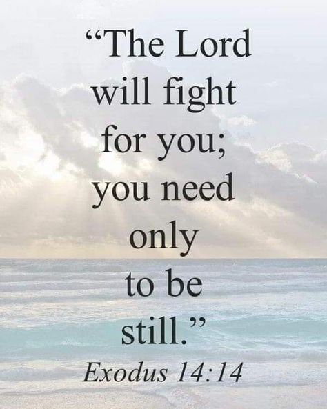 God And Faith, Scripture On Faith, Bible Verse For Worry, Do Not Fear Bible Quotes, God And Jesus, Do Not Worry, Trusting God, Healing Scriptures, A Course In Miracles