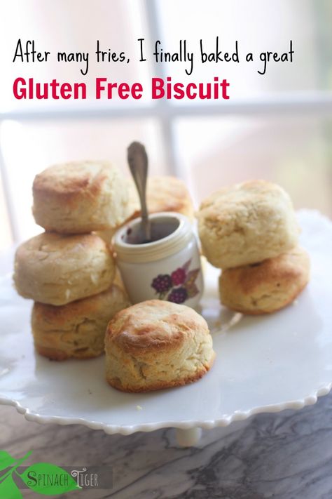 Secret to good a Gluten Free Biscuit by Angela Roberts Rice Flour Biscuits Gluten Free, Sorghum Flour Biscuits, Hardees Biscuit Recipe, Gluten Free Shortcake, Gf Biscuits, Flour Biscuits, Shortcake Biscuits, Buttermilk Biscuit, Chicken Snacks