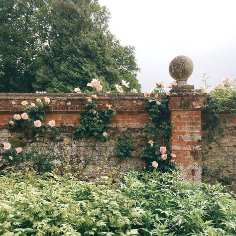 Secret Garden Aesthetic, Walled Gardens, Garden Aesthetic, John Muir, Nassau, English Garden, Dream Garden, Sedona, Garden Wall