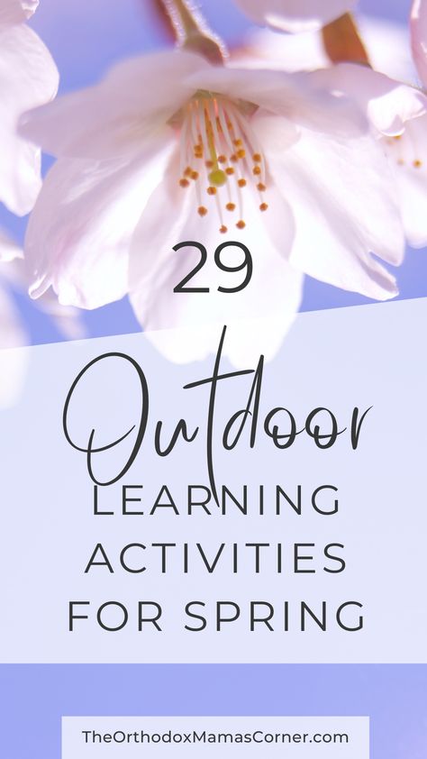 Flowers are blooming because it spring is here and it's time go get outdoors for your homeschool learning activities. Outdoor Homeschool, Activities For Spring, Outdoor Learning Activities, Homeschool Elementary, Activities For Teens, Elementary Activities, Make School, Homeschool Schedule, Homeschool Life