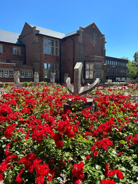 University Of Southampton Aesthetic, Southampton University Aesthetic, Southampton Aesthetic, Flowers Red Aesthetic, Southampton University, Romanticise Studying, Psych Student, Southampton England, University Of Southampton