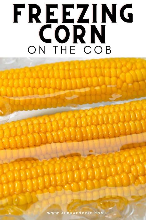 You'll never buy bags from the grocery store again - it’s just as easy to freeze fresh corn at home, both on the cob and off the cob. Freezing Corn On The Cob, Freezing Fresh Corn, Freezing Veggies, Freezing Corn, Diy Pantry, Pantry Essentials, Ears Of Corn, Frozen Veggies, Corn On The Cob