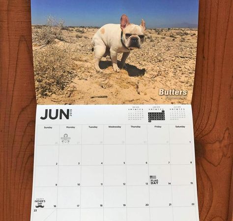 Pooping Dogs Calendar 2019 White Elephant Party, Dog Calendar, Calendar 2019, We Shed, Dogs Pooping, Ride On Toys, White Elephant, Gag Gifts, Months In A Year