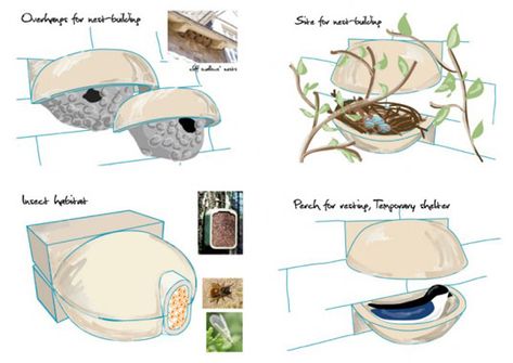 Brick Habitats: Mini-Gardens for Habitat Restoration Bird Friendly Architecture, Funny Furniture, Feral Cat House, Bee Houses, Urban Habitat, Balcony Flowers, Outdoor Cat Enclosure, Bird House Feeder, Nature Friendly