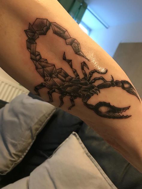 Half realism half geometric scorpion I had done on my inner bicep yesterday. Geometric Scorpion, Tattoo On Bicep, Simple Tats, Scorpion Tattoo, Bicep Tattoo, Female Inspiration, Cool Tattoos For Guys, R Tattoo, Tattoos Ideas