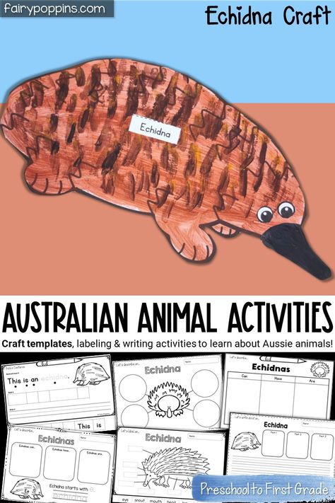 Echidna Craft, Indigenous Activities, Kangaroo Craft, Rainforest Crafts, Koala Craft, Animals Activities, Aussie Animals, Snake Crafts, Animal Activities For Kids