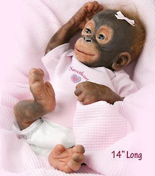 So truly real "Little Umi" Ashton Drake monkey doll. Reborn Monkey, Felted Acorns, Monkey Doll, Newborn Baby Dolls, Clay Baby, Cute Monkey, Baby Monkey, Creepy Dolls