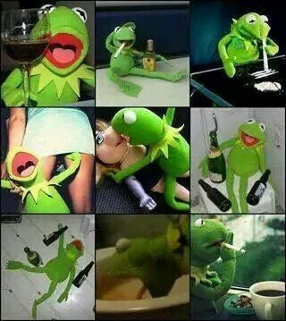 Sapo Kermit, Kermit Funny, Witty Remarks, The Muppet Show, Humor Inappropriate, Miss Piggy, Monkeys Funny, Music Images, Kermit The Frog