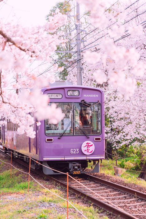 If you’re traveling to Japan, you will probably need a Japan Rail Pass. We all love to prepare our travel in advance, but make sure you read all this information to ensure you’re not buying it to soon. Aesthetic Tumblr Backgrounds, Travel In Japan, Japan Train, Is It Too Late, Tumblr Backgrounds, Japan Trip, Japan Aesthetic, Aesthetic Japan, Japan Photo