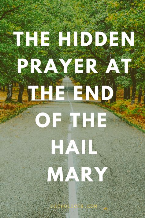 Prayers To Mother Mary, The Magnificat Prayer, Mary Prayers, Memorare Prayer, Hail Mary Prayer Catholic, Litany Of The Blessed Virgin Mary Rosary, Daily Devotional Prayer, Solemnity Of The Assumption Of The Blessed Virgin Mary, Cleansing Drinks