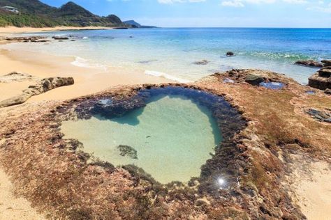 Amami Oshima, Yakushima, We Were There, Green Mountains, Kagoshima, Narita, Natural Heritage, Kyushu, Coastal Landscape