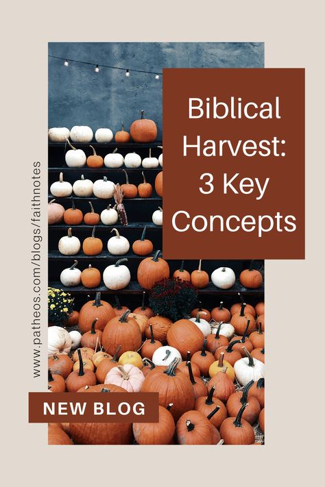 Ever wonder what the Bible means by ‘harvest’ and how it applies to your life today? Here are 3 key concepts about Biblical harvest that every Christian should know. Psalm 126 5, Harvest Bible, Master Of Fine Arts, World Religions, Bible Study Lessons, Ancient Aliens, Bible Lessons, Religious Art, Creative Writing