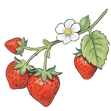 Strawberry Heart Drawing, Fruits Aesthetic Drawing, Strawberry Plant Drawing Simple, Strawberry Shirt Designs, Strawberry Doodle Drawing, Fruit Drawing Aesthetic, Strawberry Flower Drawing, Fruit Drawing Cute, Fanfic Stickers