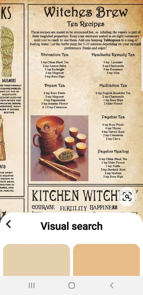 Mugwort Tea Recipe, Rosemary Tea Recipe, Mugwort Tea, Witch Tea, Rosemary Tea, Tea Recipe, Witches Brew, Lemon Balm, Brewing Tea